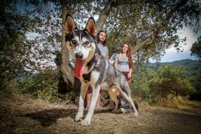 Pet Friendly Photographers Los Gatos